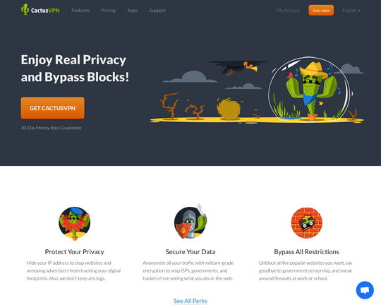 Cactus VPN