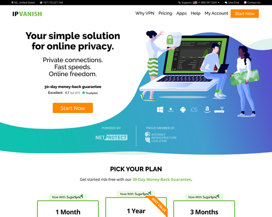 IP Vanish