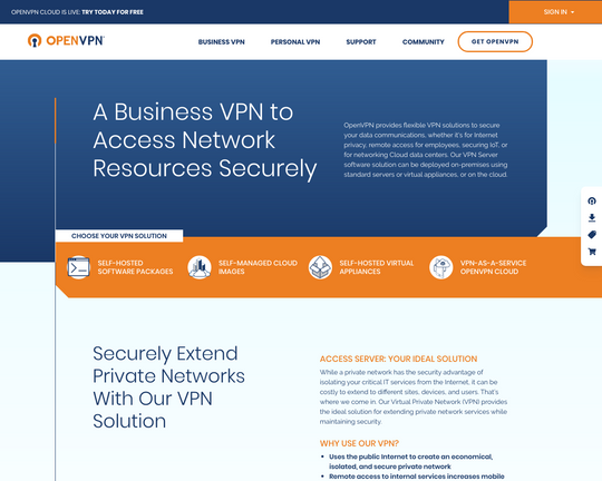 Open VPN